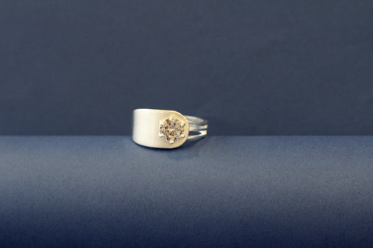 Silver men's ring